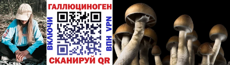 Купить закладки  Белая Калитва  Галлюциногенные грибы прущие грибы 